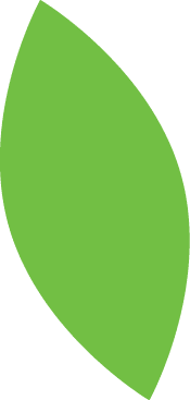Oval